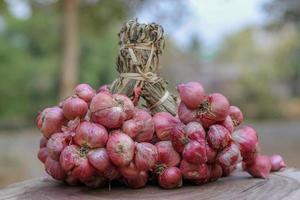 Shallots still on wood background photo