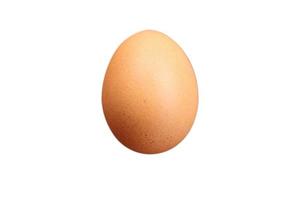 Single brown chicken egg isolated on white background Photo