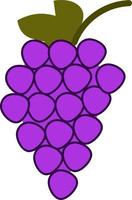 Purple grape, illustration, vector, on a white background. vector