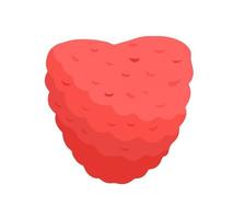 Raspberry in cartoon style vector