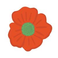 Red poppy flower vector