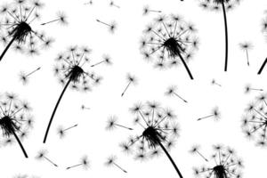 Silhouette of a dandelion texture vector