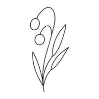 Hand drawn minimalist branch with round leaves. Black contour line outline vector illutration in minimal doodle style. Winter holidays floral clip art, greenery