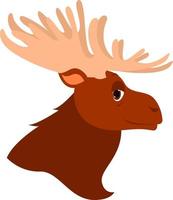 Moose head, illustration, vector on white background.