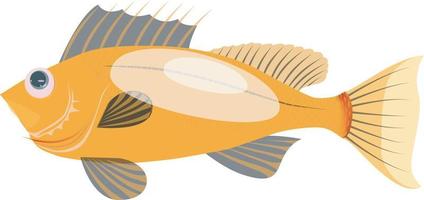 vector illustration of sea fish with fins and tail