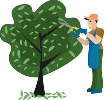 Gardener trimming a tree, illustration, vector on white background.