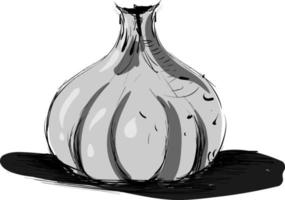 Garlic sketch, illustration, vector on white background.