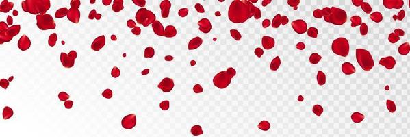 Background with red rose petals. Eps 10 vector. Falling red flower petals against pink background. Happy Valentines day card. Valentine's day background. vector