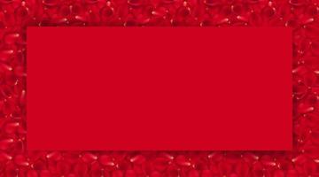 Background of beautiful red rose petals and red card for text. EPS 10 vector file included. Vector illustration red card for text on red rose walpaper.