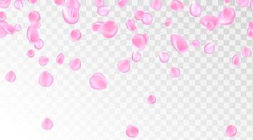 Pink rose petal falling background. Confetti with petals. Vector eps 10.