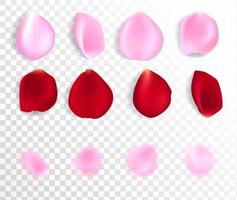 Red and pink realistic vector rose petals isolated on white. Vector red and pink color rose petals set.