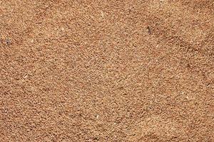 Wheat grains as agricultural background. Processed organic wheat grains texture. Close up top view. Suitable as a backdrop for the projects on art, creativity, imagination and design photo