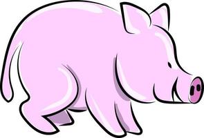 Fat pig, illustration, vector on white background.