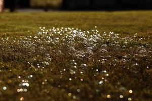 soap bubbles on the grass. selective focus. photo