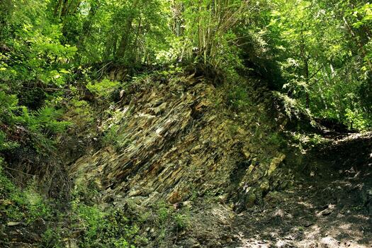 The cliff is a rocky layer with soil and grass. photo