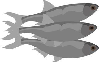 Sprat fish, illustration, vector on white background