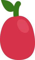 Red plum, illustration, vector on a white background.