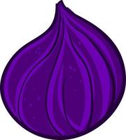 Purple fig, illustration, vector on white background.