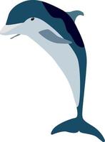 Dolphin jumping, illustration, vector on white background.