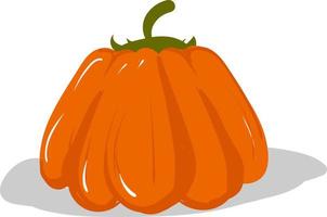 Calabaza plana, ilustración, vector sobre fondo blanco.