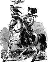 Woman on Horseback vintage illustration. vector