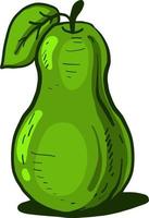 Green pear ,illustration,vector on white background vector