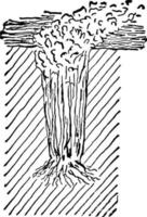 ilustración vintage del método de cultivo de apio. vector