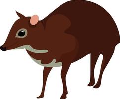 Java mouse deer, illustration, vector on white background