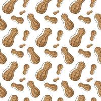 Peanuts pattern, illustration, vector on white background.