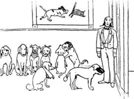 Dogs, vintage illustration vector