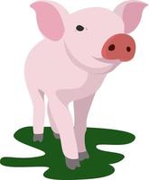 Pig animal, illustration, vector on white background