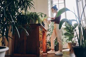 Happy young woman watering houseplants while standing at the domestic room photo