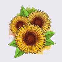 Hand drawn natural exquisite sunflowers, blooming sunflowers in spring with watercolors splashes vector