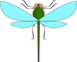 Green dragonfly, illustration, vector on white background.