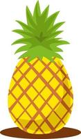 Fresh pineapple, illustration, vector on white background.