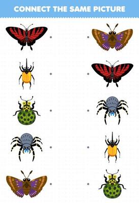 Education game for children connect the same picture of cute cartoon butterfly beetle ladybug spider moth printable bug worksheet