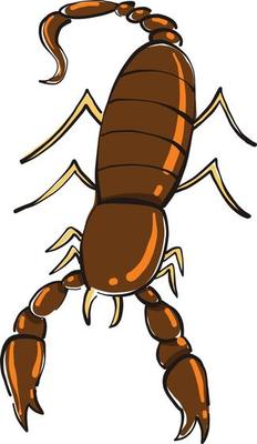 Scary scorpio, illustration, vector on white background.