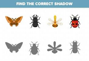 Education game for children find the correct shadow set of cute cartoon butterfly beetle dragonfly ladybug printable bug worksheet vector