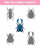 Education game for children find the correct shadow set of cute cartoon beetle printable bug worksheet vector