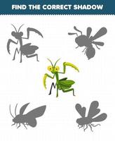 Education game for children find the correct shadow set of cute cartoon mantis printable bug worksheet vector