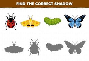 juego educativo para niños encontrar la sombra correcta conjunto de dibujos animados lindo mariquita polilla oruga mariposa hoja de trabajo de error imprimible vector