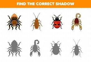 Education game for children find the correct shadow set of cute cartoon spider cockroach ladybug scorpion printable bug worksheet vector