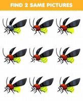 Education game for children find two same pictures of cute cartoon firefly printable bug worksheet vector