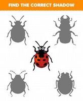 Education game for children find the correct shadow set of cute cartoon ladybug printable bug worksheet vector