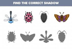 Education game for children find the correct shadow set of cute cartoon dragonfly ladybug louse moth printable bug worksheet vector