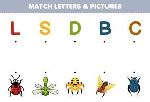 Education game for children match letters and pictures of cute cartoon ladybug dragonfly spider cicada beetle printable bug worksheet vector