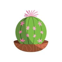 succulent houseplant in pot vector