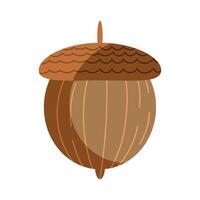 acorn seed autumn season vector