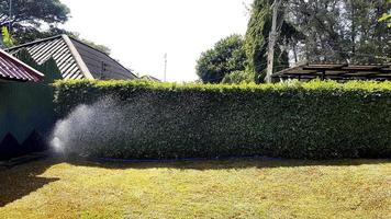 Sprinkler splashing or watering lawn and trees in garden with copy space on sunny day. photo