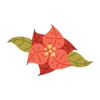 christmas flower with leafs vector